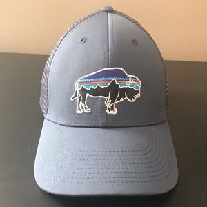 Patagonia Fitz Roy trucker hat